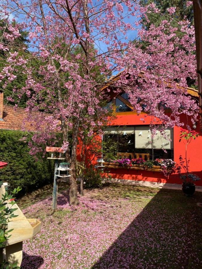 Aconchegante Casa Em Monte Verde Monte Verde  Ngoại thất bức ảnh